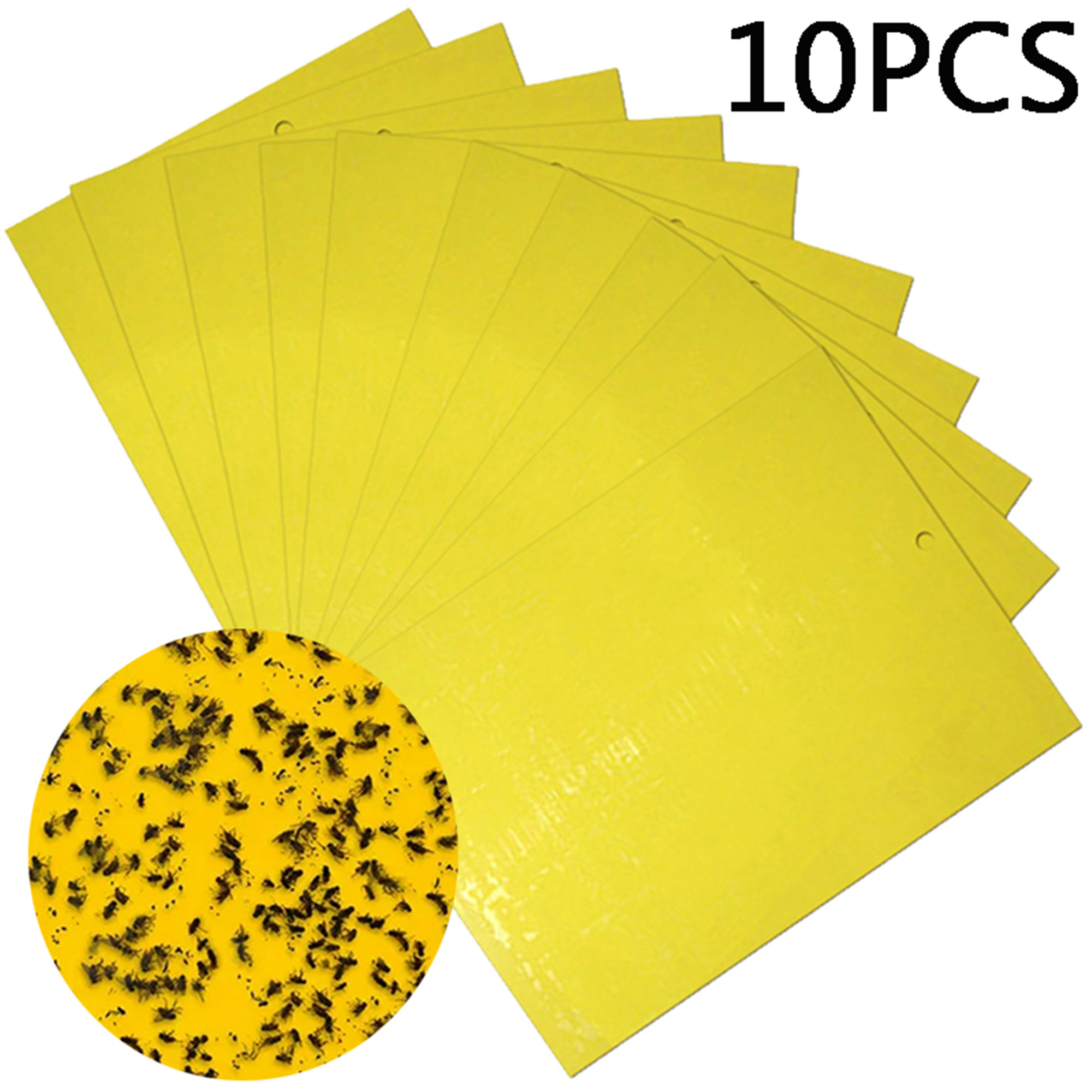 Elbourn Double-Sided Fruit Fly Traps Gnat Traps for Indoors - 10Pcs Fly Paper Pest Control Insect Killer